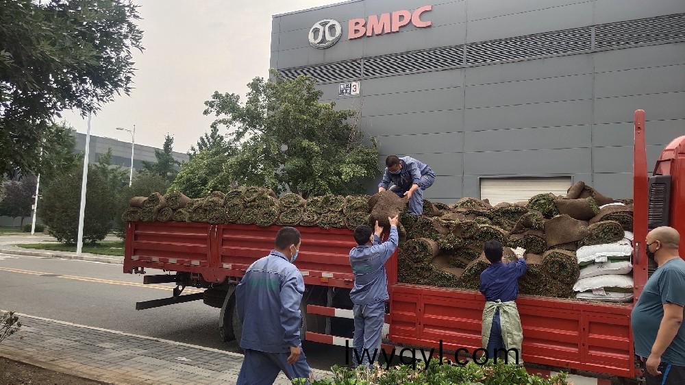 綠(lv)化(hua)工程(cheng)