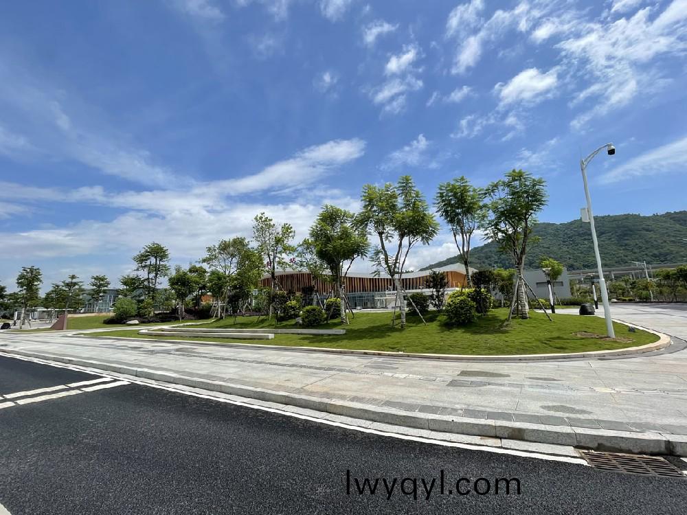 高(gao)鐵(tie)站(zhan)綠化(hua)案例(li)