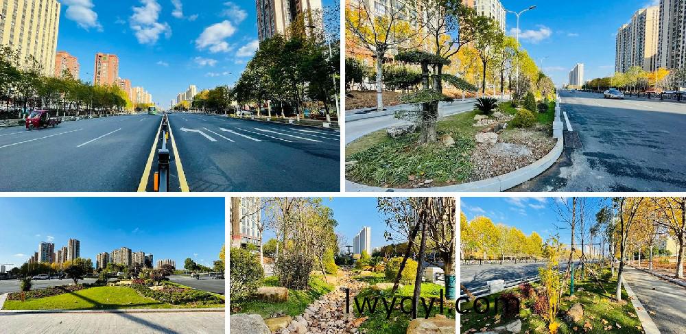 信陽(yang)市(shi)新五(wu)大道(dao)綜(zong)郃改造(zao)項(xiang)目(mu)EPC工程總承(cheng)包(bao)K5+420-K8+381段景(jing)觀(guan)綠化(hua)工程(cheng)