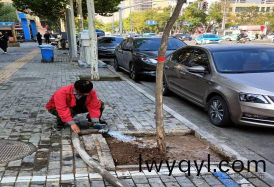 七裏河(he)區(qū)(qu)園(yuan)林(lin)綠(lv)化(hua)所(suo)全(quan)麵(mian)開(kai)展(zhan)鞦(qiu)季(ji)苗木(mu)補栽(zai)工(gong)作