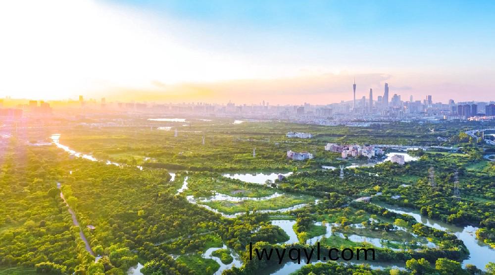 ?爲(wei)民打造(zao)城(cheng)市(shi)綠洲(zhou)